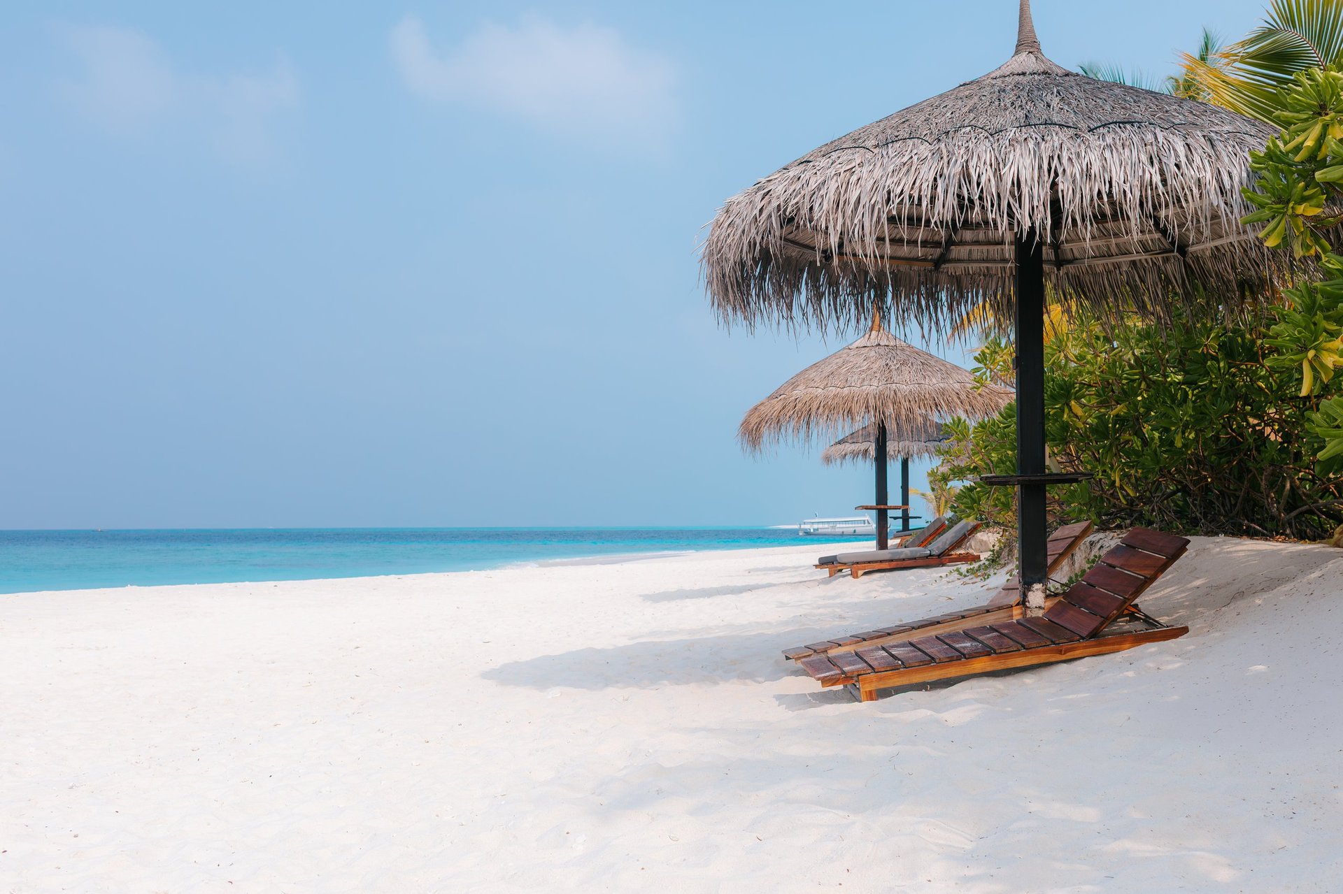 Vacation summer holidays leisure background - sunny tropical Caribbean paradise resort beach with white sand, lounger, palms